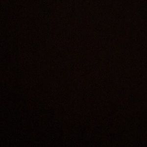 Meet your Posher, Tyra